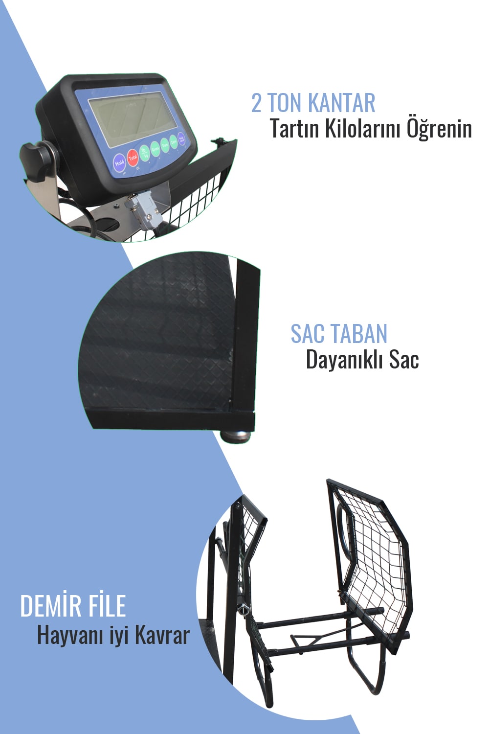 Keçi Travayı Küçükbaş Kantarlı Travay Özellikleri